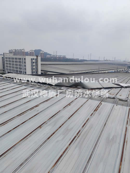 武汉经济开发区钢结构厂房屋顶维修