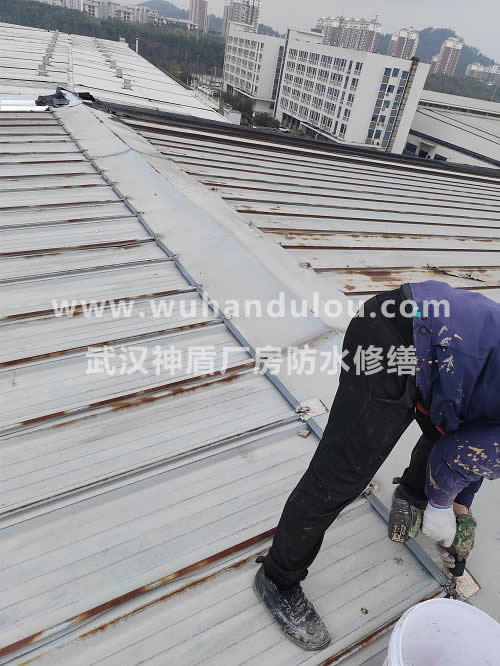 沌口钢结构厂房屋顶维修