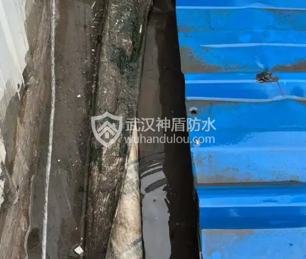 QQ浏览器截图20250301083553.png