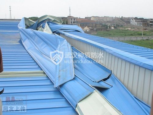 极端天气下钢结构厂房防护指南