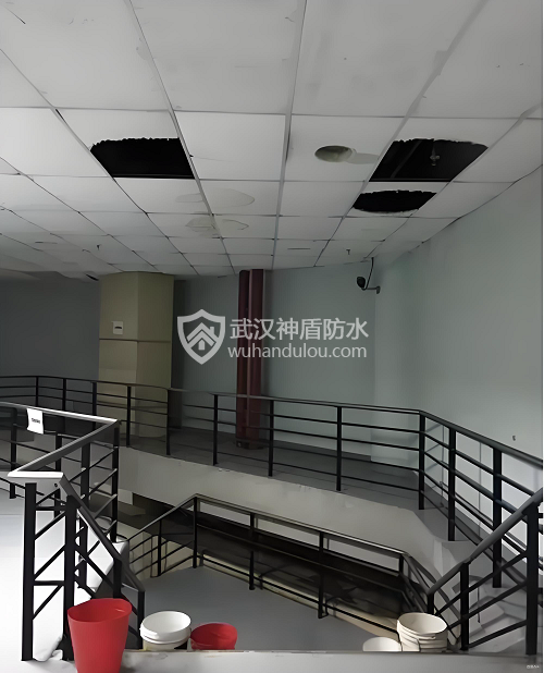 体育馆屋面漏雨问题频发：彩钢瓦搭接、亮瓦接缝、钉眼成主要漏点