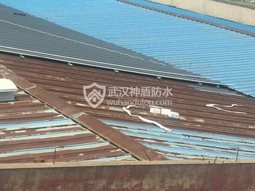 屋顶彩钢瓦为何总爱生锈？锈了怎么办？施工要点全解析